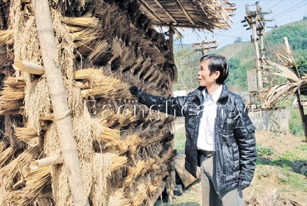 Miền Tây - sức sống mới sau lũ