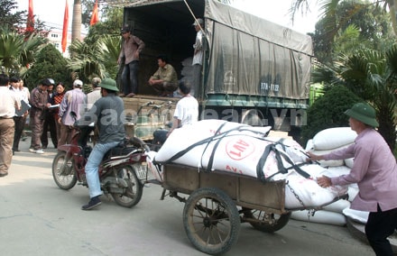 Bảo đảm nhu cầu mua sắm hàng hóa dịp Tết