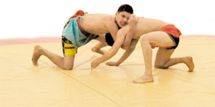 Về Vân Diên, xem hội vật