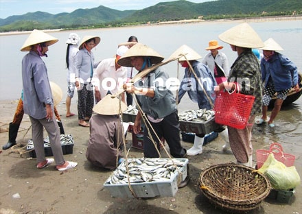 Ngư dân hái lộc đầu Xuân