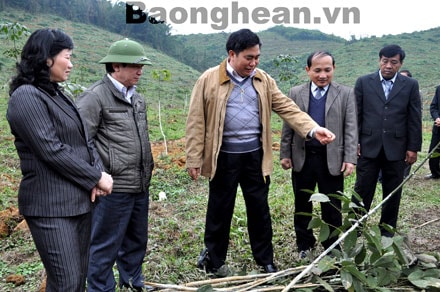 Phó Chủ tịch UBND tỉnh Đinh Viết Hồng làm việc tại Anh Sơn và Tân Kỳ