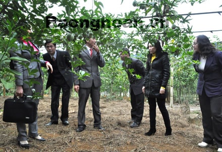 Hội đồng Dân tộc Quốc hội giám sát Chương trình hỗ trợ giảm nghèo tại Quế Phong