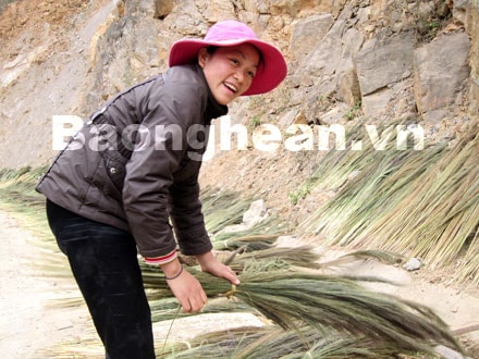 Mùa đót ở Kỳ Sơn