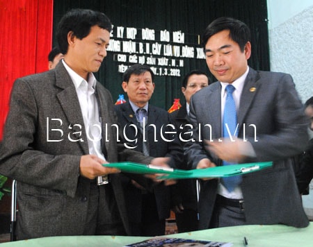 Lễ ký kết hợp đồng bảo hiểm cây lúa vụ đông xuân 2012