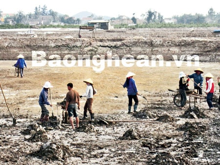 Quỳnh Lưu: Vào vụ tôm mới