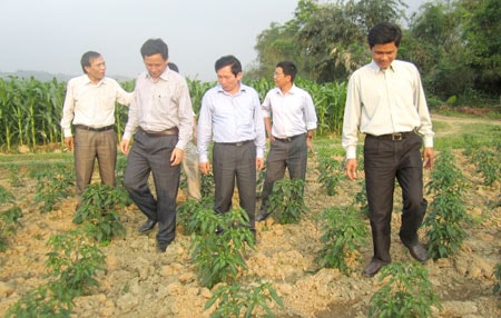 Quan tâm nhân rộng mô hình sản xuất, chăn nuôi và kiểm soát dịch bệnh