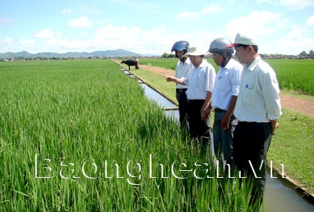 Bảo vệ tài nguyên nước bảo đảm an ninh lương thực