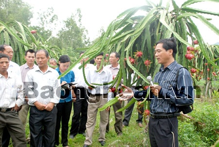 Thực hiện Nghị quyết Trung ương 4 (khoá XI): Làm đến đâu, phải chắc đến đó và đạt kết quả cụ thể