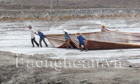 Người nuôi tôm Quỳnh Lưu trước nỗi lo thiếu giống