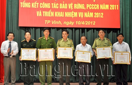 Triển khai hiệu quả các giải pháp bảo vệ và phòng, chống cháy rừng