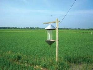 3 tỉnh dùng máy bẫy đèn theo dõi dịch hại trên lúa