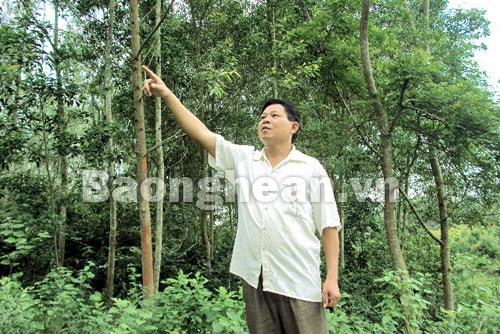 Người cựu chiến binh gương mẫu