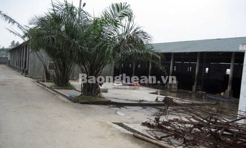 Bài 3:  Kiểm dịch bằng... thị giác và khứu giác?