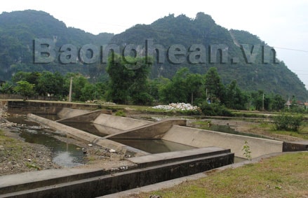 Quỳ Hợp, Nghĩa Đàn dồn sức chống hạn cứu lúa