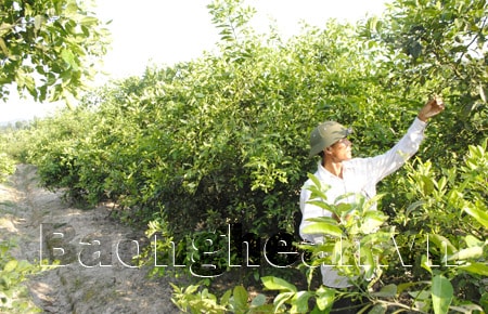 Đổi thay từ một chủ trương đúng