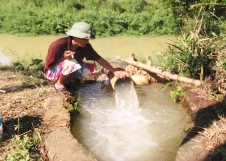 Yên Thành: Nỗ lực chống hạn cứu lúa
