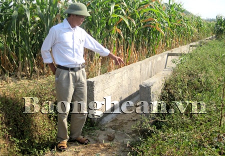 Nam Đàn chống hạn cứu lúa, cứu màu