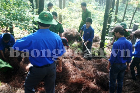Ngăn chặn cháy rừng do cố ý