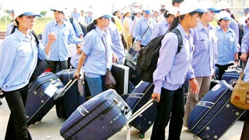 Hơn 25.000 lao động đi làm việc ở nước ngoài