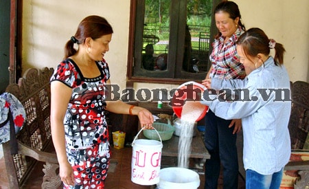 Hạt gạo nghĩa tình