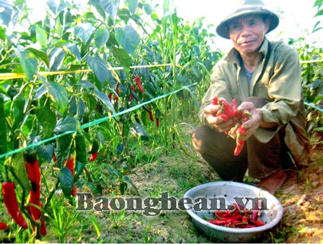 Chưa tìm được tiếng nói chung