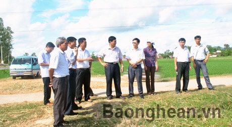 HĐND tỉnh khảo sát Chương trình xây dựng nông thôn mới tại Yên Thành