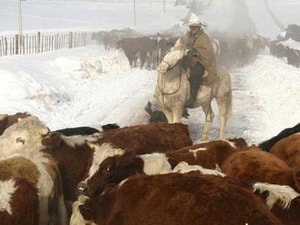 16 người ở Chile thiệt mạng vì thời tiết giá rét kỷ lục