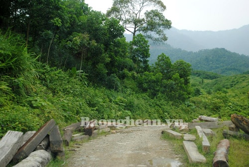 Kỳ II:  Thanh Chương -  Tan nát rừng đầu nguồn