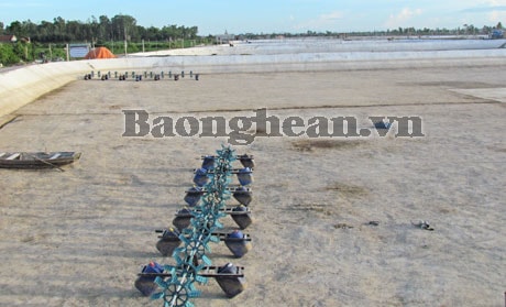 Tôm chết hàng loạt - người chăn nuôi gặp khó