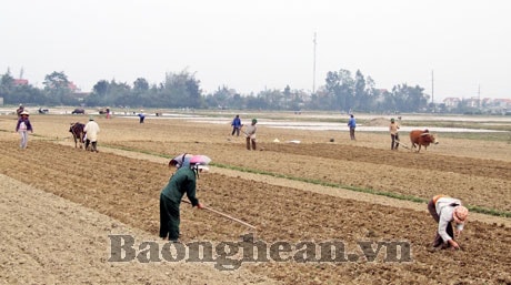 “Cầu nối” giữa Đảng với nhân dân