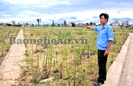 Cần sớm di dân ra khỏi vùng sạt lở núi Quyết