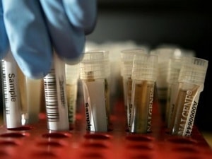 Xuất hiện virus cúm gia cầm mới H3N8 gây tử vong ở Mỹ