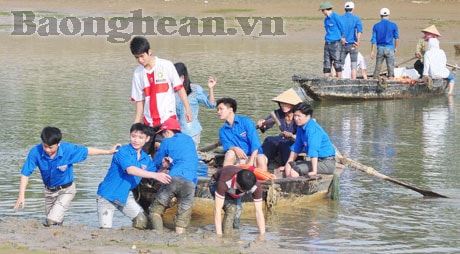 Thêm nhiều cây xanh cho rừng ngập mặn