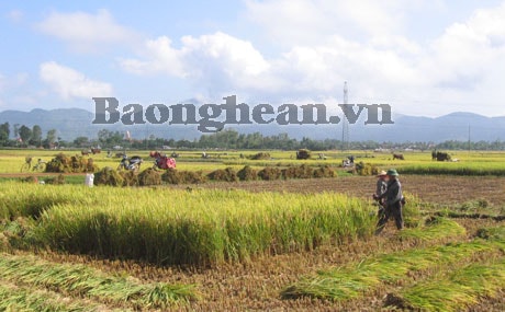 Yên Thành: Hiệu quả mô hình bí thư kiêm xóm trưởng