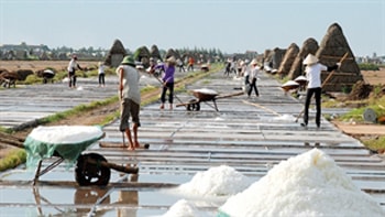 Nhập khẩu muối, đường không ảnh hưởng đến sản xuất trong nước