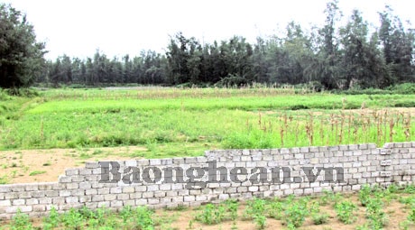 Quỳnh Lưu: Nhiều dự án du lịch chậm triển khai