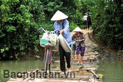 Quỳnh Trang (Quỳnh Lưu): Mối hiểm họa từ cầu phao tự chế