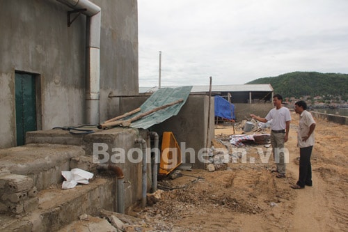 Ô nhiễm môi trường từ Nhà máy Chế biến bột cá