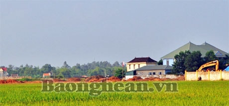 Về việc bồi thường GPMB Dự án Nhà máy may xuất khẩu thị trấn Yên Thành