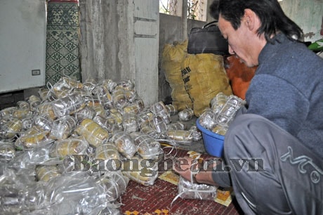 Hướng làm giàu của giáo xứ Yên Đại