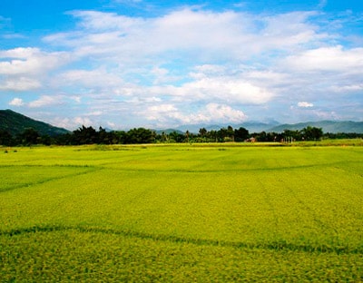 Dự thảo Luật Đất đai: Thời hạn giao đất nông nghiệp là 50 năm