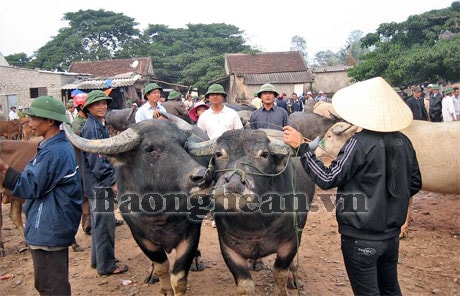 Cần đầu tư mở rộng chợ Ú (Đại Sơn)