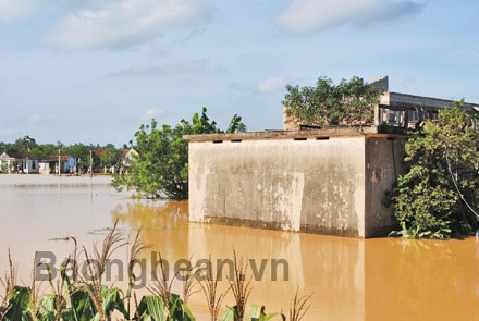 Vỡ thân đập Tây Nguyên ở xã Quỳnh Thắng (Quỳnh Lưu)