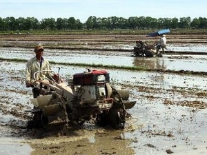 Thêm ưu đãi cho nông dân có bảo hiểm nông nghiệp