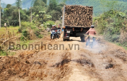Công ty CP Mía đường Sông Lam: Hỗ trợ nông dân phát triển vùng nguyên liệu mía