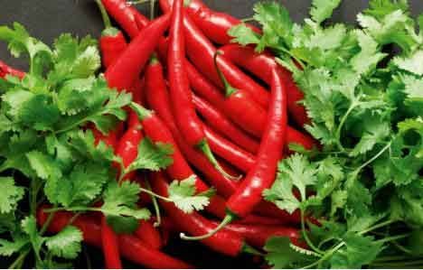 Quả ớt: Vị thuốc giảm đau bị bỏ quên