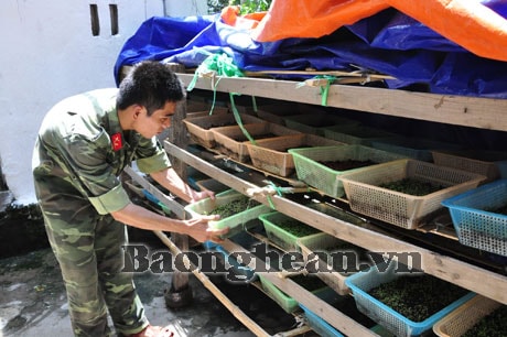 Bảo vệ vùng trời, vùng biển, đảo thân yêu