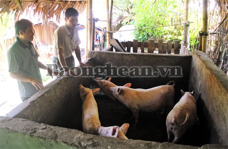 Hiệu quả vốn vay ưu đãi ở Tương Dương