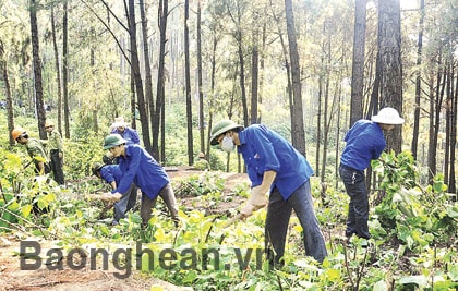 Những hoạt động tiêu biểu