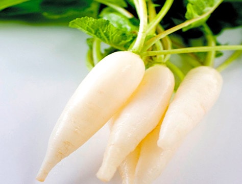 Chữa khản tiếng bằng củ cải trắng